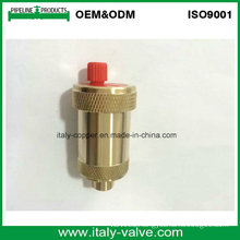 Cw617n Automatic Brass Air Vent Valve (IC-3052)